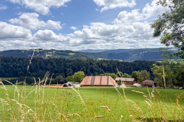 Auf einsamen Jurahöhen bei St-Ursanne