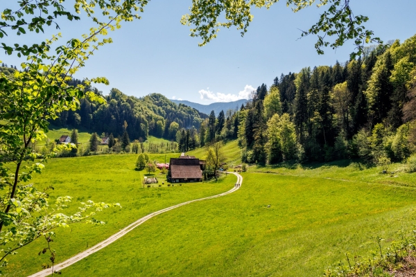 Frühlingswanderung durch Moränenlandschaft