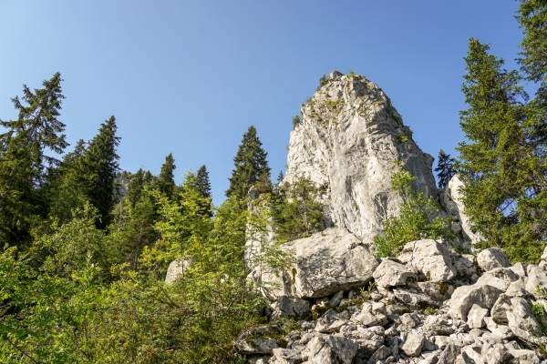 Zu den Schwyzer Klippen auf der Ibergeregg