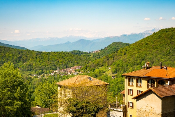 Dalla collina soleggiata al vino