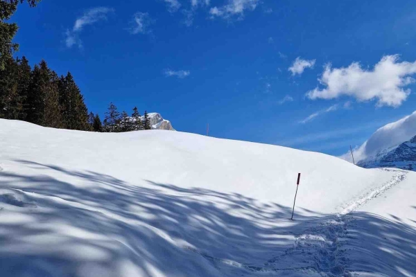 Schneeschuhtour Haldi-Trail