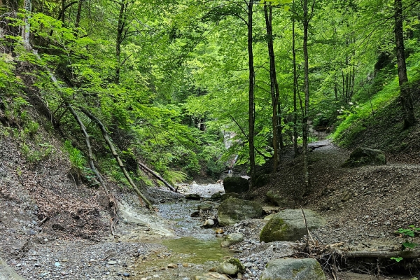 Durch die kühle Cholereschlucht