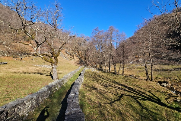 Sentore di primavera sopra le Terre di Pedemonte.