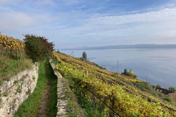 Durch die Twannbachschlucht am Bielersee