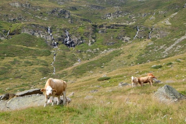 Dalla Valle di Blenio alla Leventina