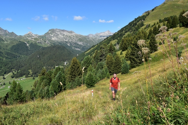 Alpeggi in fiore e torbiere alte sul Lucomagno