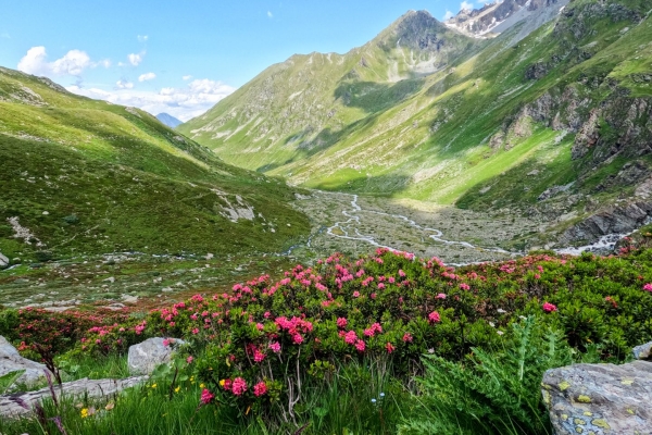 Durch die Moränenlandschaft im Vallon de Valsorey