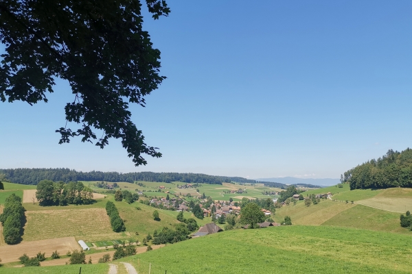 Escursione in altura nell’Alta Argovia