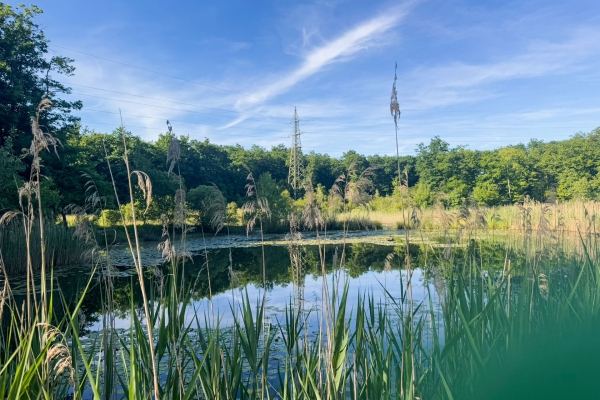 Spazierwanderung zwischen Natur und Stadt