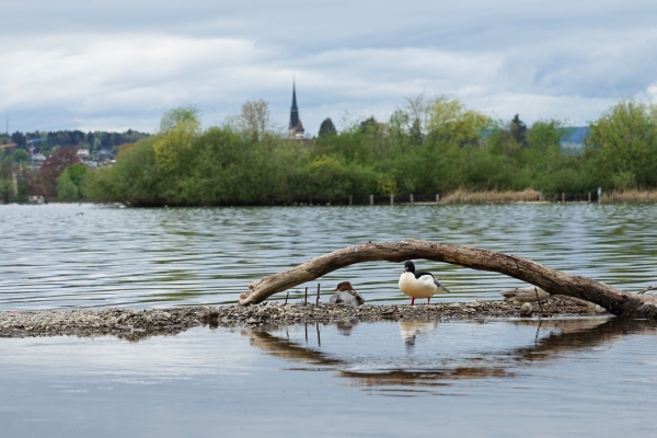 Industriegeschichte am Zugersee