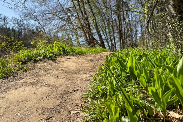 Sulle rive della Reuss immersi nella natura