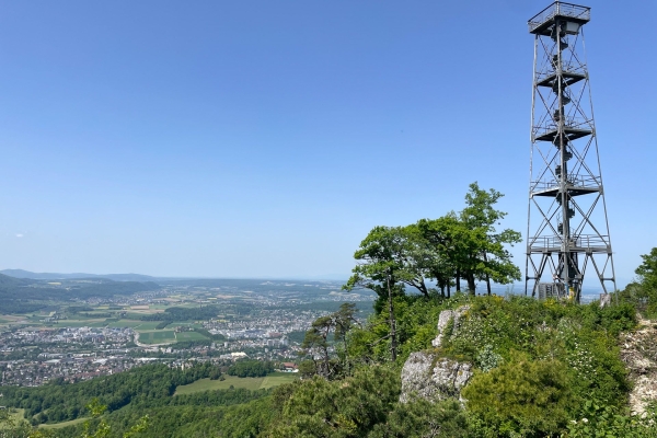 «Chriesibluescht» nahe des Gempen