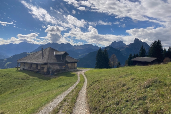 Sur les hauteurs du Saanenland