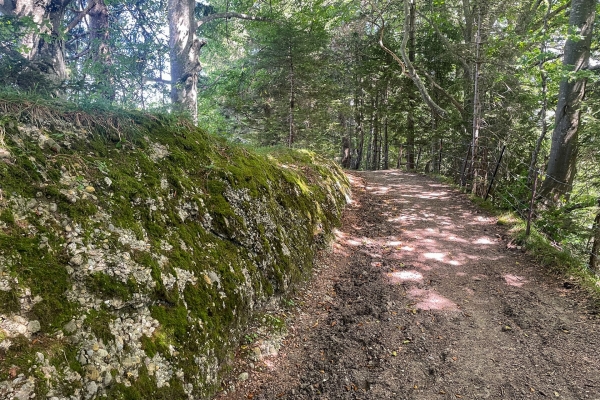 Gemütlicher Aussichtsberg im Appenzellerland