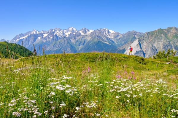 Randonnée panoramique vers le Mont Brûlé