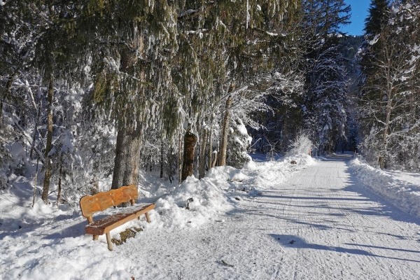 Ohne Steigung zu den Simmenfällen