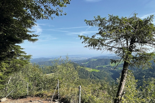 Groot - de höchschti Thurgauer