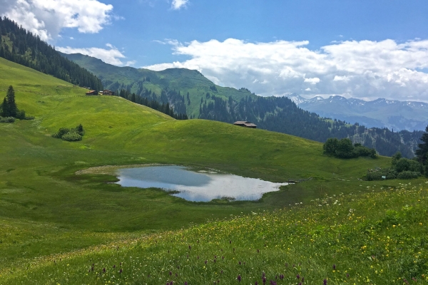 VIP-Angebot für Wanderpassinhaber:innen: Vom Stelsberg nach Pany