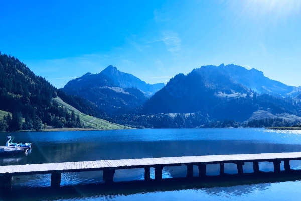 45. Wanderfest: Die Wasserreiche