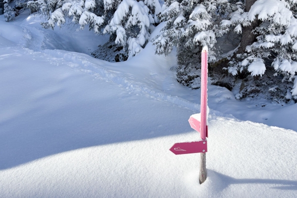 Leichte Schneeschuhwanderung durchs Wildschutzgebiet