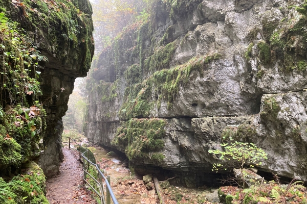 Durch die Twannbachschlucht am Bielersee