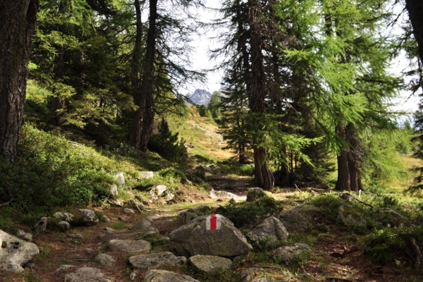 Bergseen
