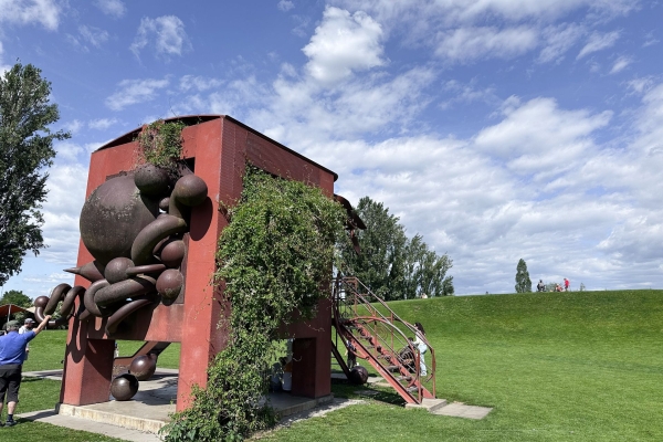 Frühlingspfad am St. Alban-Teich in voller Blüte