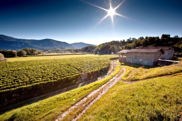 Lungo il confine sud del Ticino