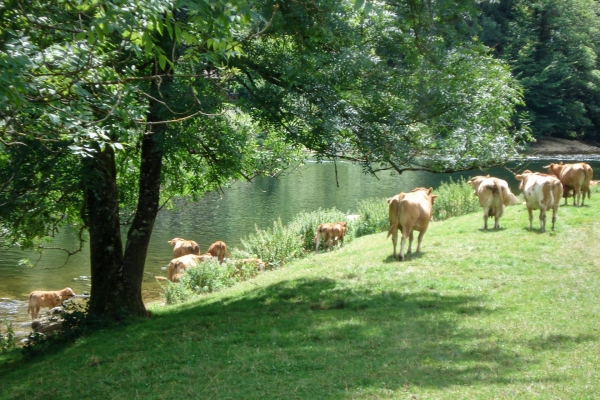 Una rinfrescante escursione lungo il Doubs