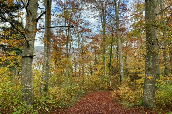 Les gorges de Douanne, près du lac de Bienne
