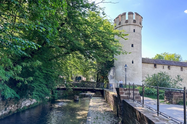 Sentiero in fiore al canale di St. Alban
