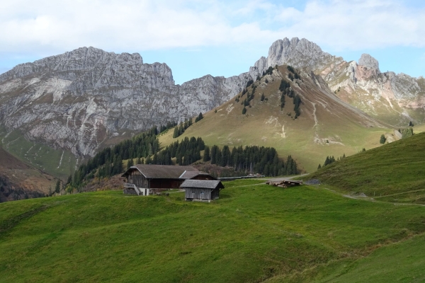 Höhenwanderung im Saanenland
