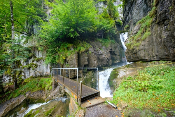 Tous les trésors de la Schweibenalp