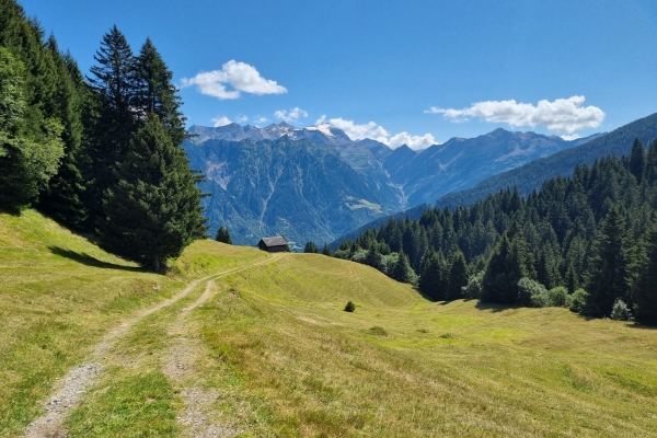 Alpeggi in fiore e torbiere alte sul Lucomagno