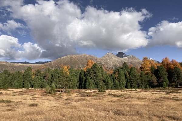 Seenwanderung mit leuchtenden Lärchen