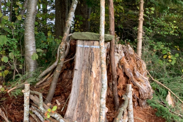 Entdeckungspfad «Honigbiene und Biodiversität»