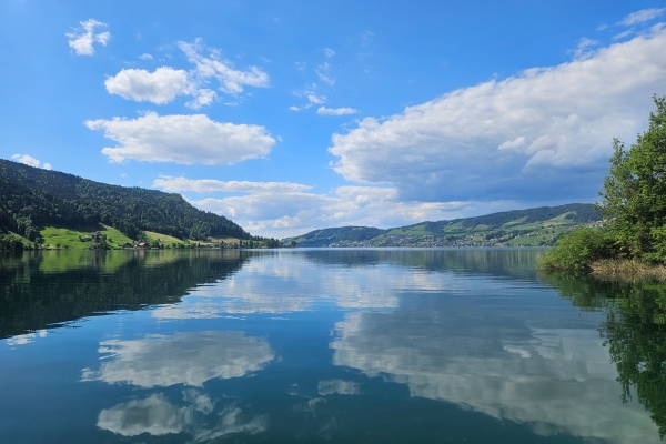 Schlacht am Morgarten