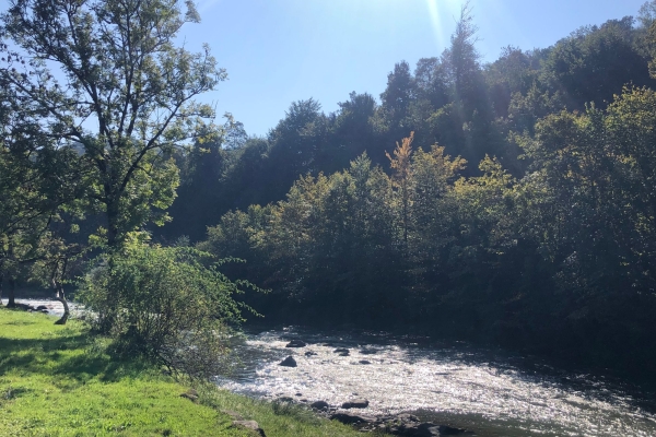 Idyllischer Sihlsprung