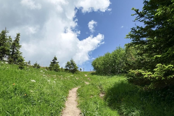 Wilerhorn - Vom Turren zum Brünigpass