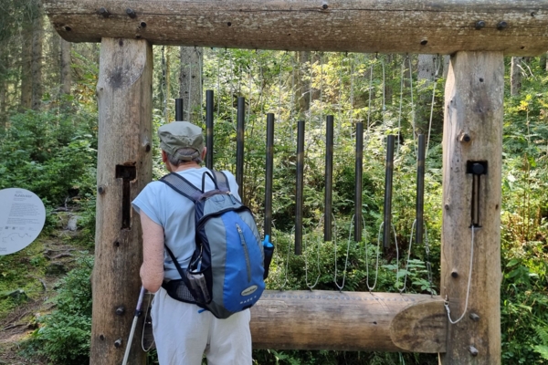 KLANGWEG TOGGENBURG – WANDERUNG FÜR AUGEN UND OHREN