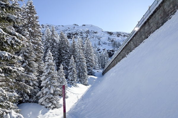 Leichte Schneeschuhwanderung durchs Wildschutzgebiet