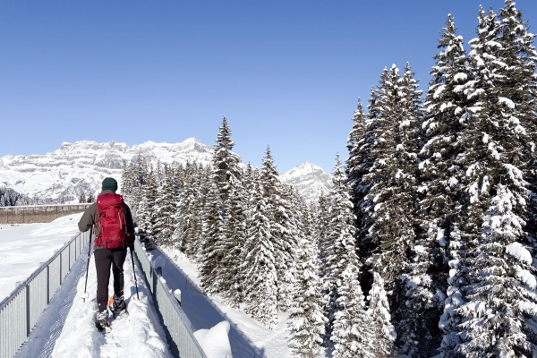 Leichte Schneeschuhwanderung durchs Wildschutzgebiet