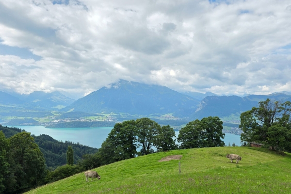 Goldiwil trifft Supernova