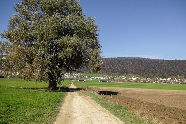 Quer durchs Val de Ruz