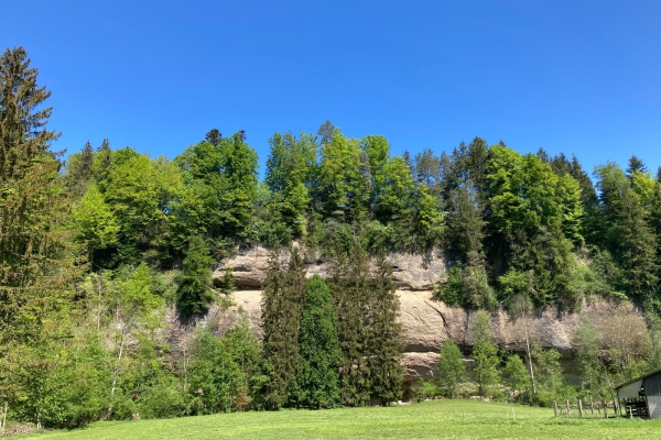 Halbtageswanderung Sommermorgen im unteren Toggenburg