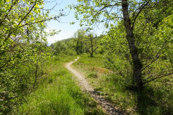 Ursprüngliche und kultivierte Natur