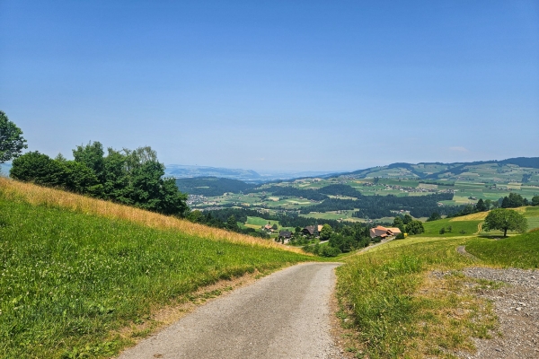 Attraverso la fresca gola di Choleren