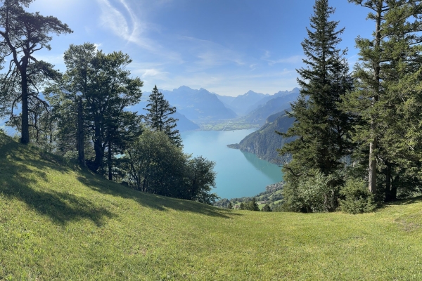 Une vue qui se mérite au Niderbauen Chulm