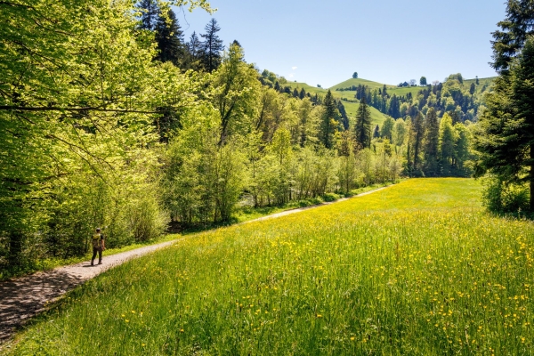 Frühlingswanderung durch Moränenlandschaft