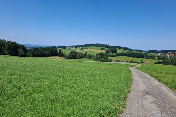Von Tobel über den Bruunauer Bärg nach Wil SG